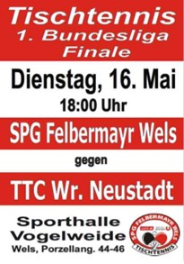 Bundesliga-Finale steigt in Wels