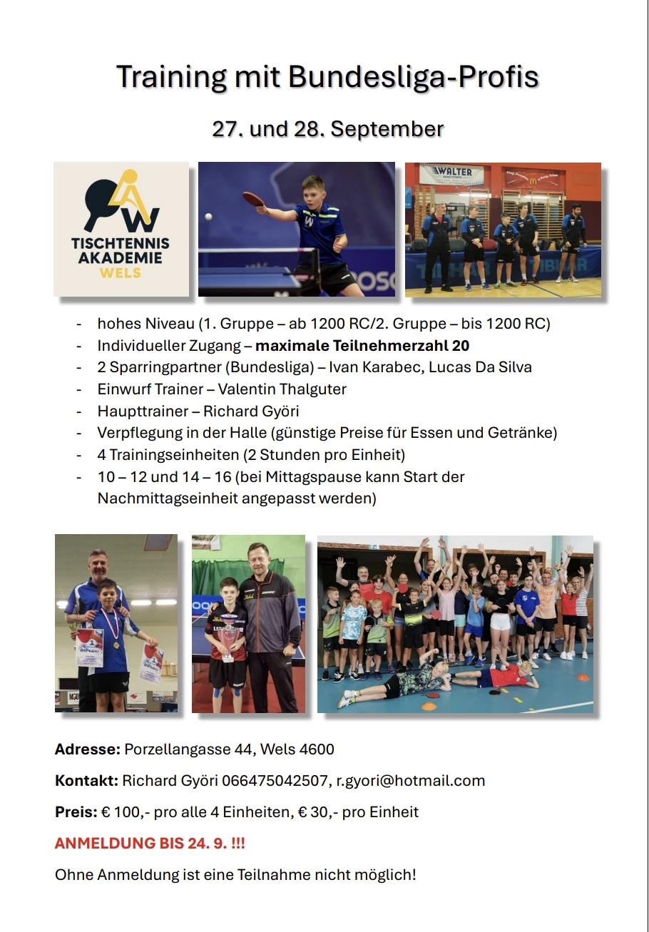 Tischtennis Trainingslehrgang in Wels-4