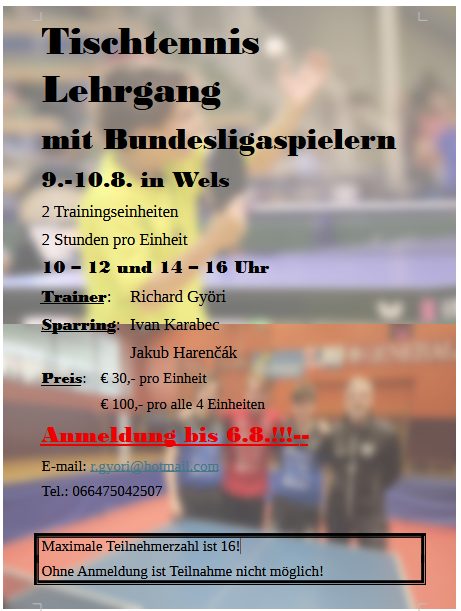 Tischtennis Trainingslehrgang in Wels